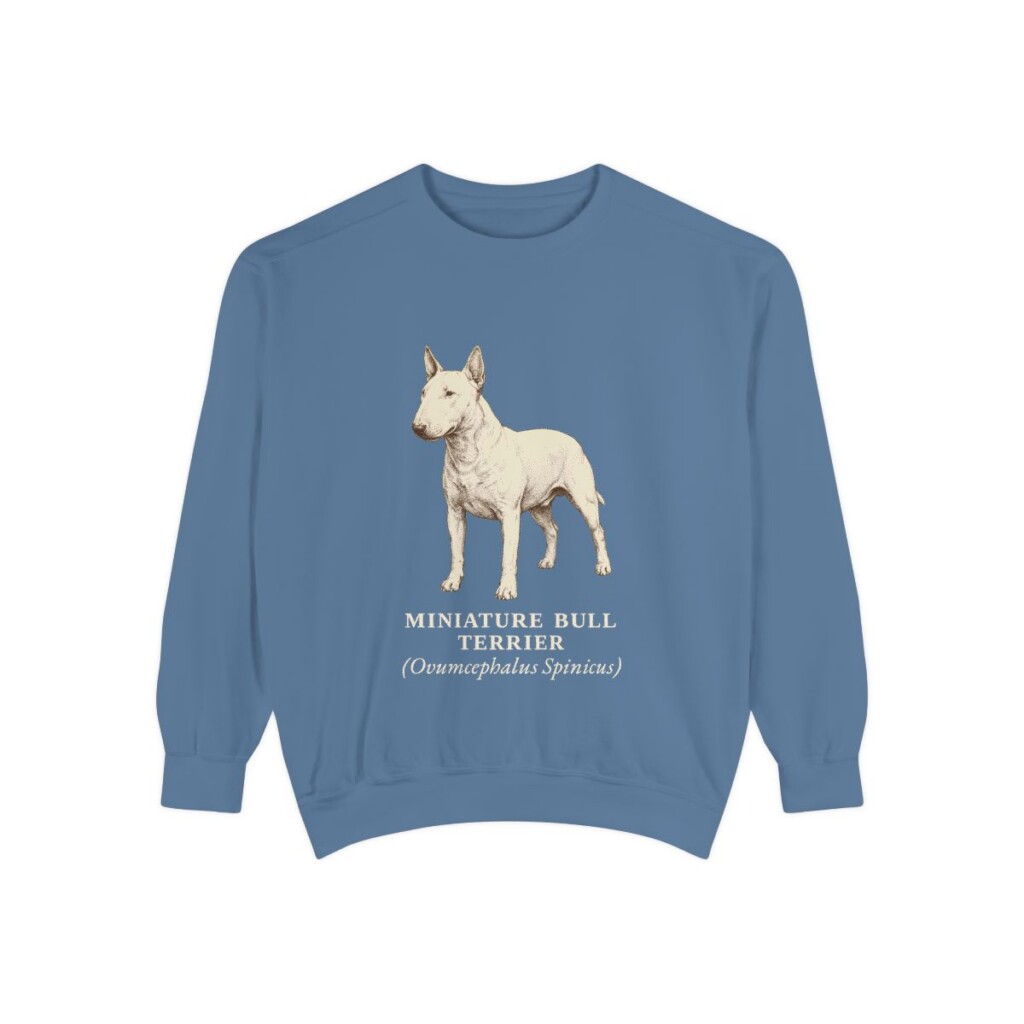 Miniature Bull Terrier Latin Sweatshirt, Blue Jean, front view