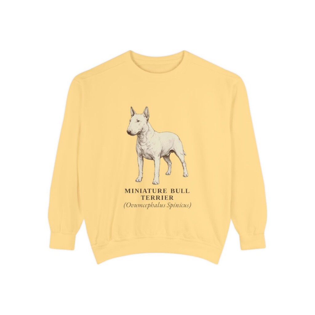 Miniature Bull Terrier Latin Sweatshirt, Butter, front view