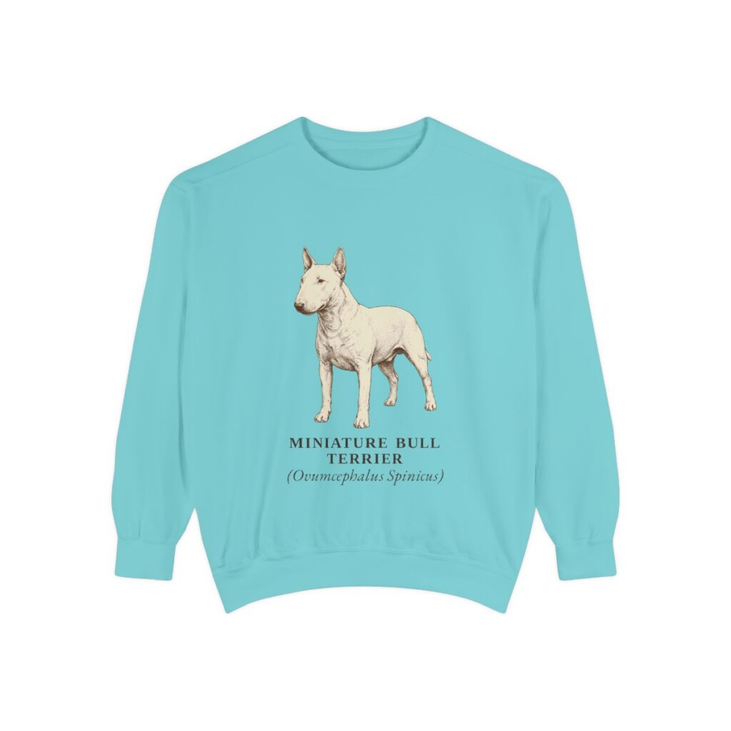 Miniature Bull Terrier Latin Sweatshirt, Chalky Mint, front view