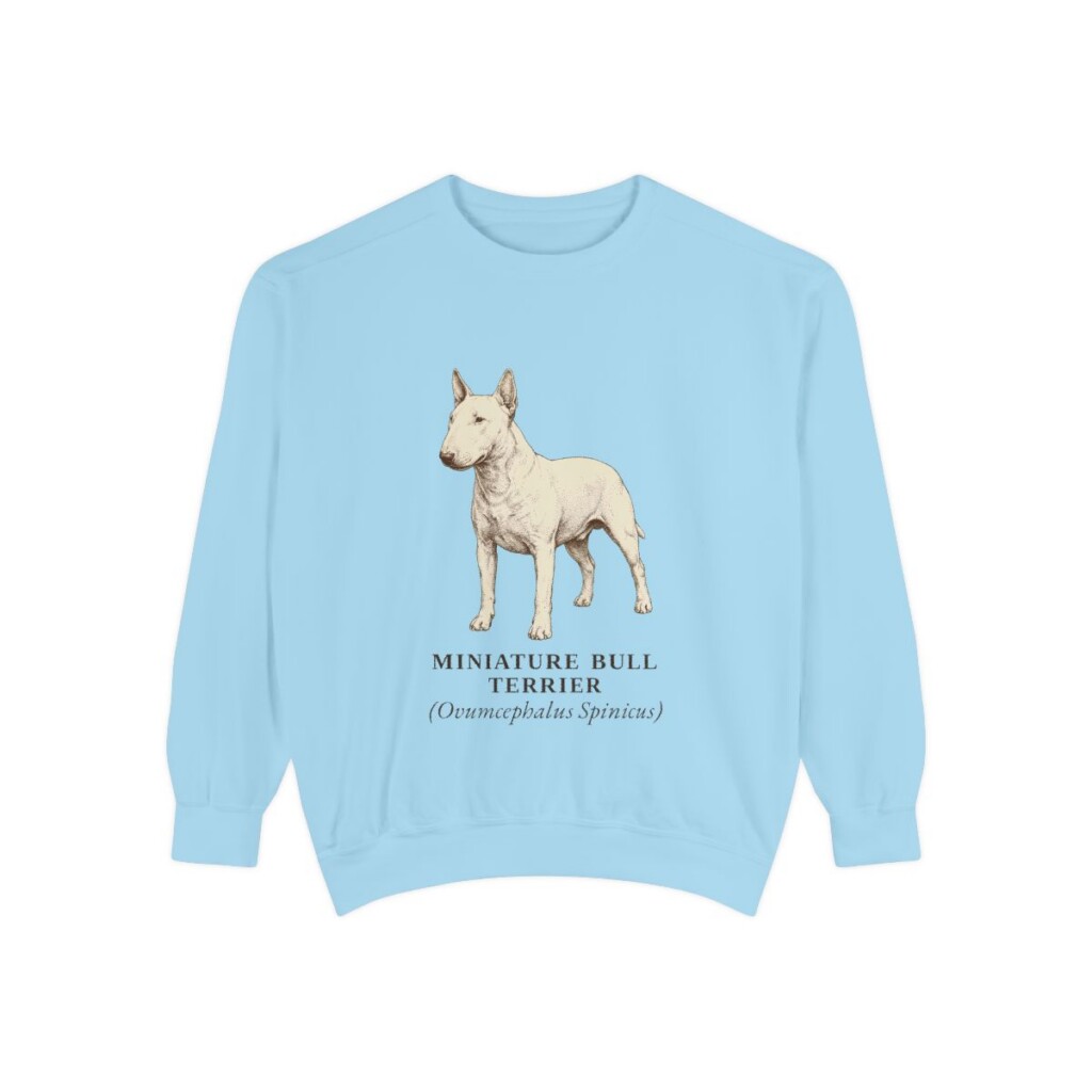 Miniature Bull Terrier Latin Sweatshirt, Chambray, front view