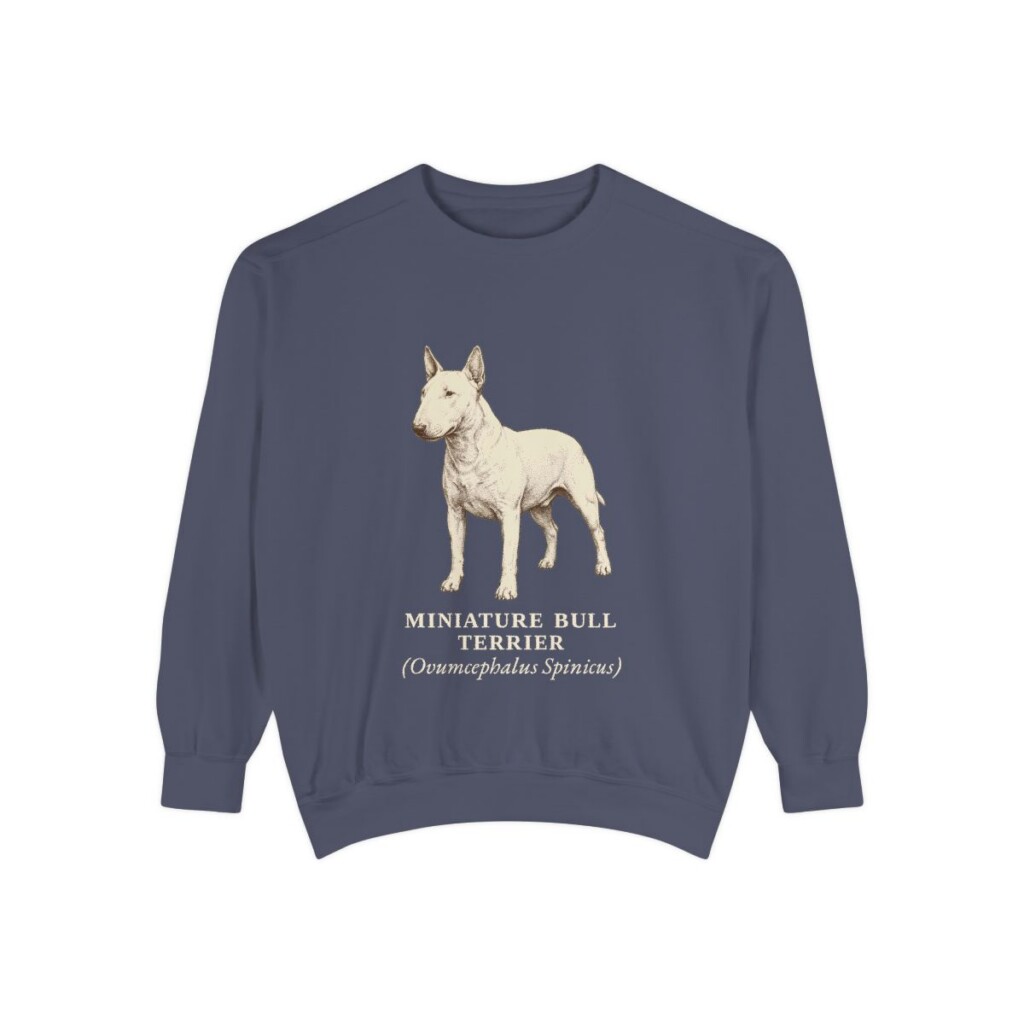 Miniature Bull Terrier Latin Sweatshirt, Denim, front view
