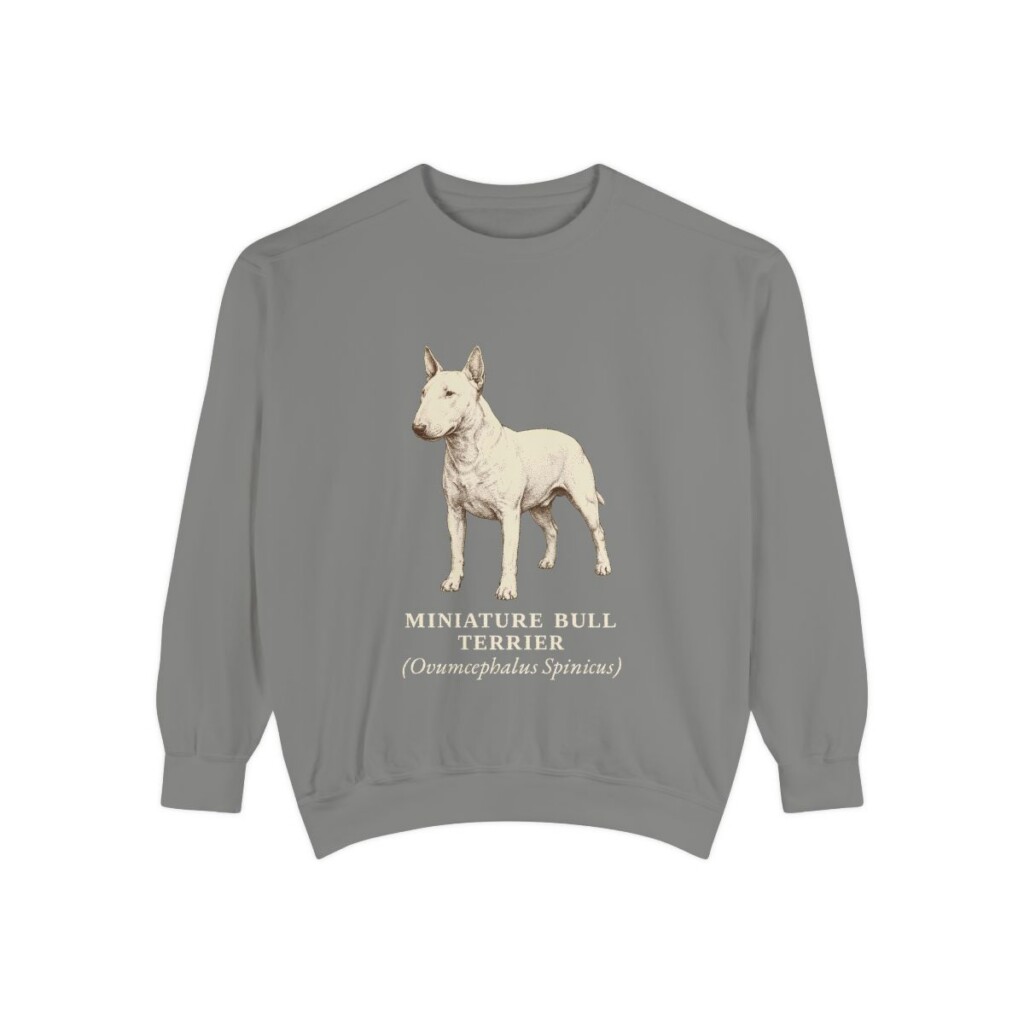Miniature Bull Terrier Latin Sweatshirt, Grey, front view