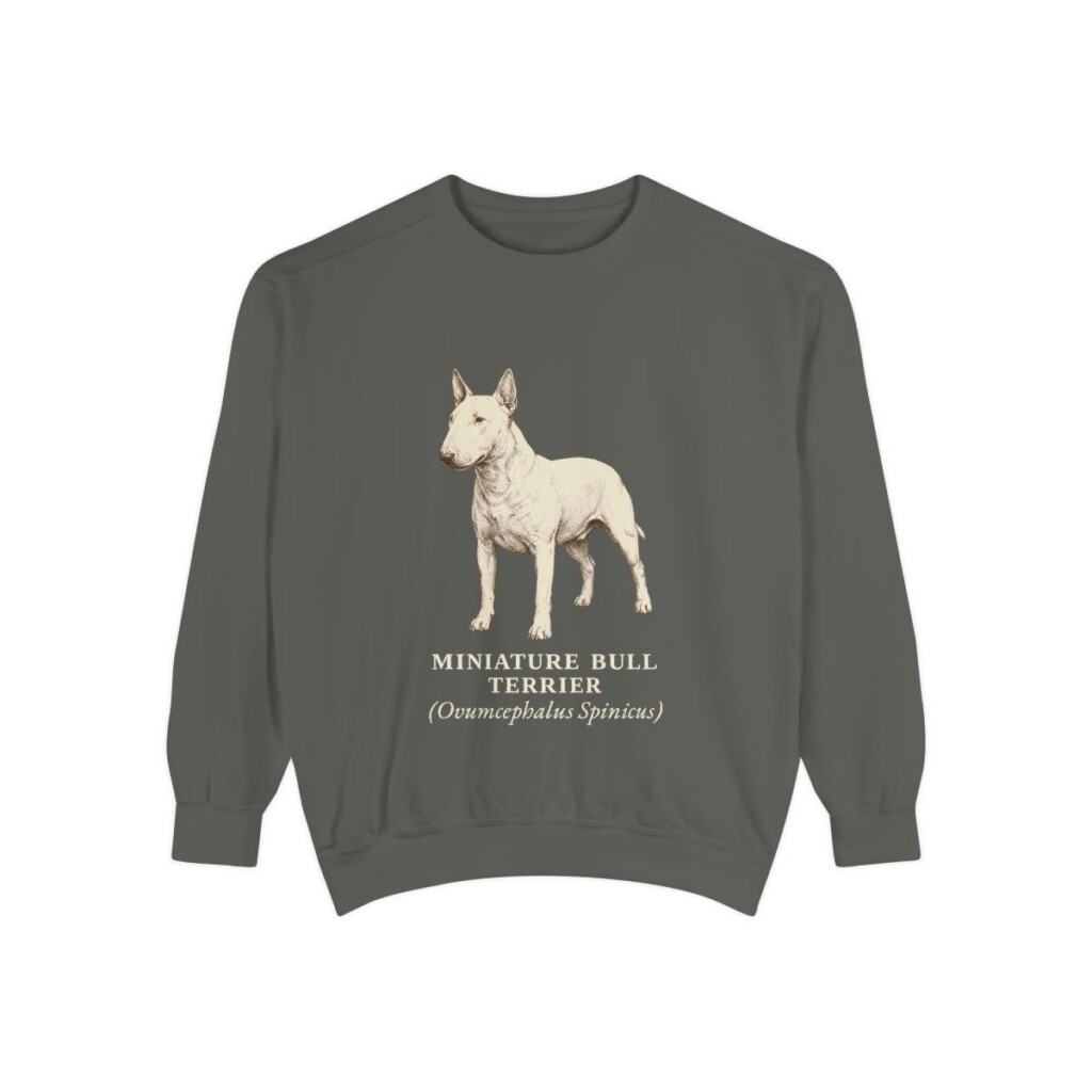 Miniature Bull Terrier Latin Sweatshirt, Pepper, front view