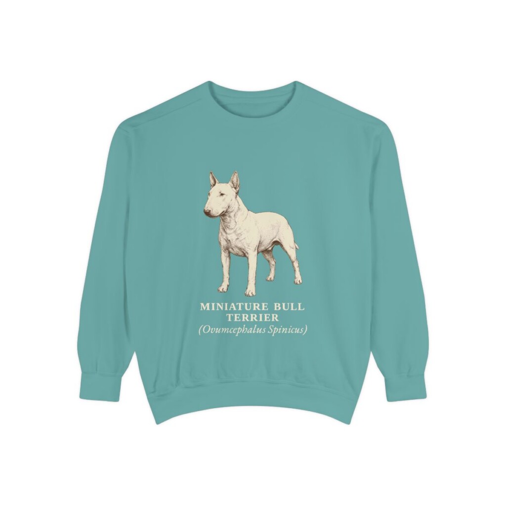 Miniature Bull Terrier Latin Sweatshirt, Seafoam, front view
