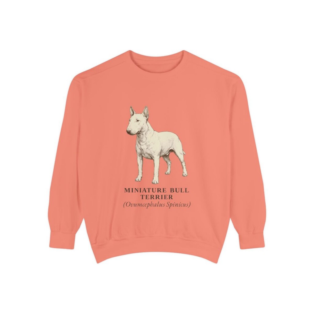 Miniature Bull Terrier Latin Sweatshirt, Terracotta, front view