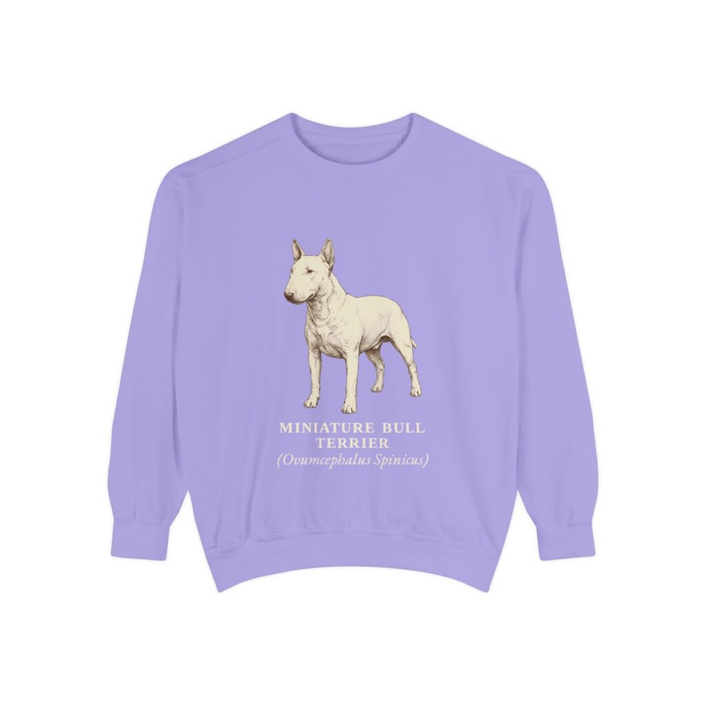 Miniature Bull Terrier Latin Sweatshirt, Violet, front view