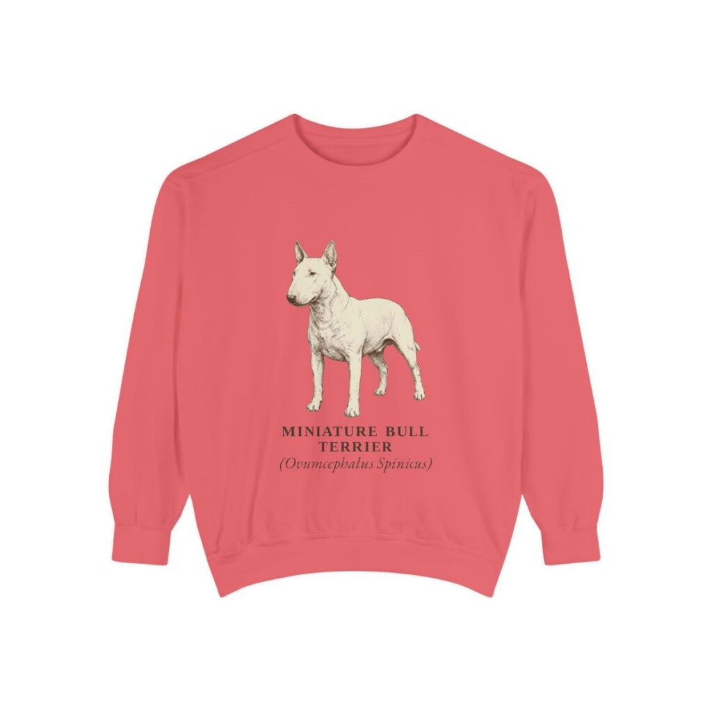 Miniature Bull Terrier Latin Sweatshirt, Watermelon, front view