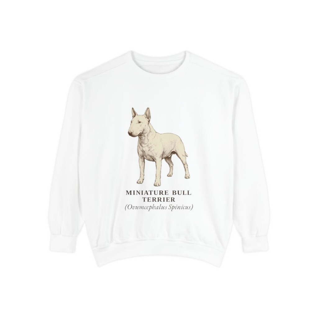 Miniature Bull Terrier Latin Sweatshirt, White, front view