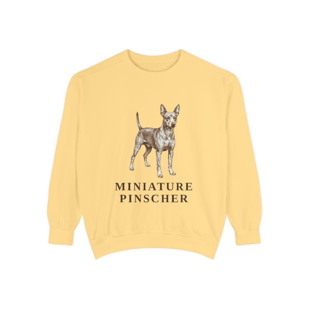 Miniature Pinscher Sweatshirt, Butter, front view