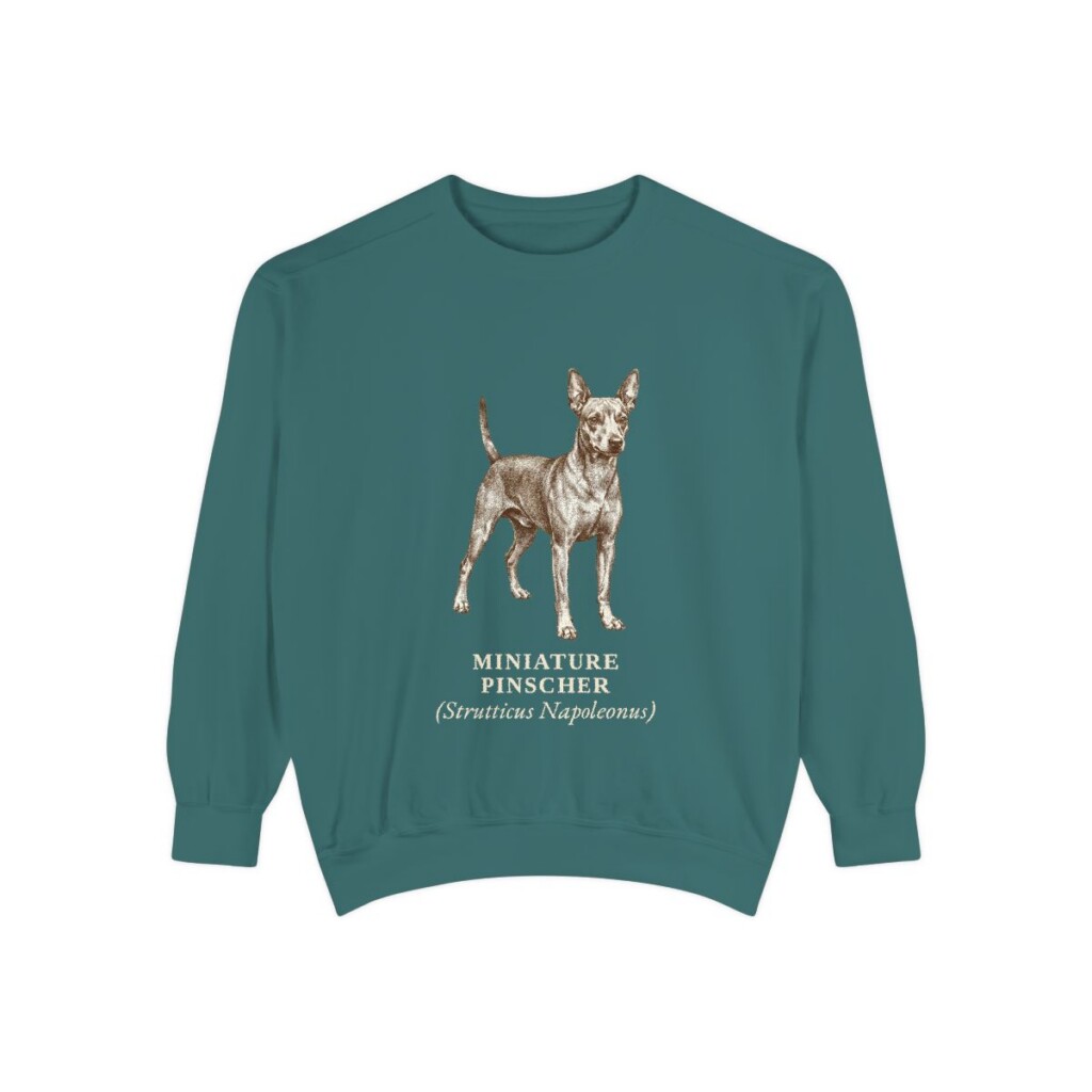 Miniature Pinscher Latin Sweatshirt, Blue Spruce, front view