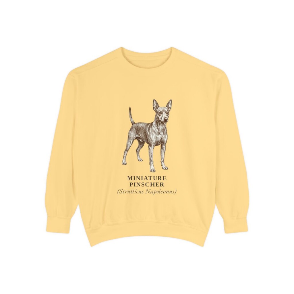 Miniature Pinscher Latin Sweatshirt, Butter, front view