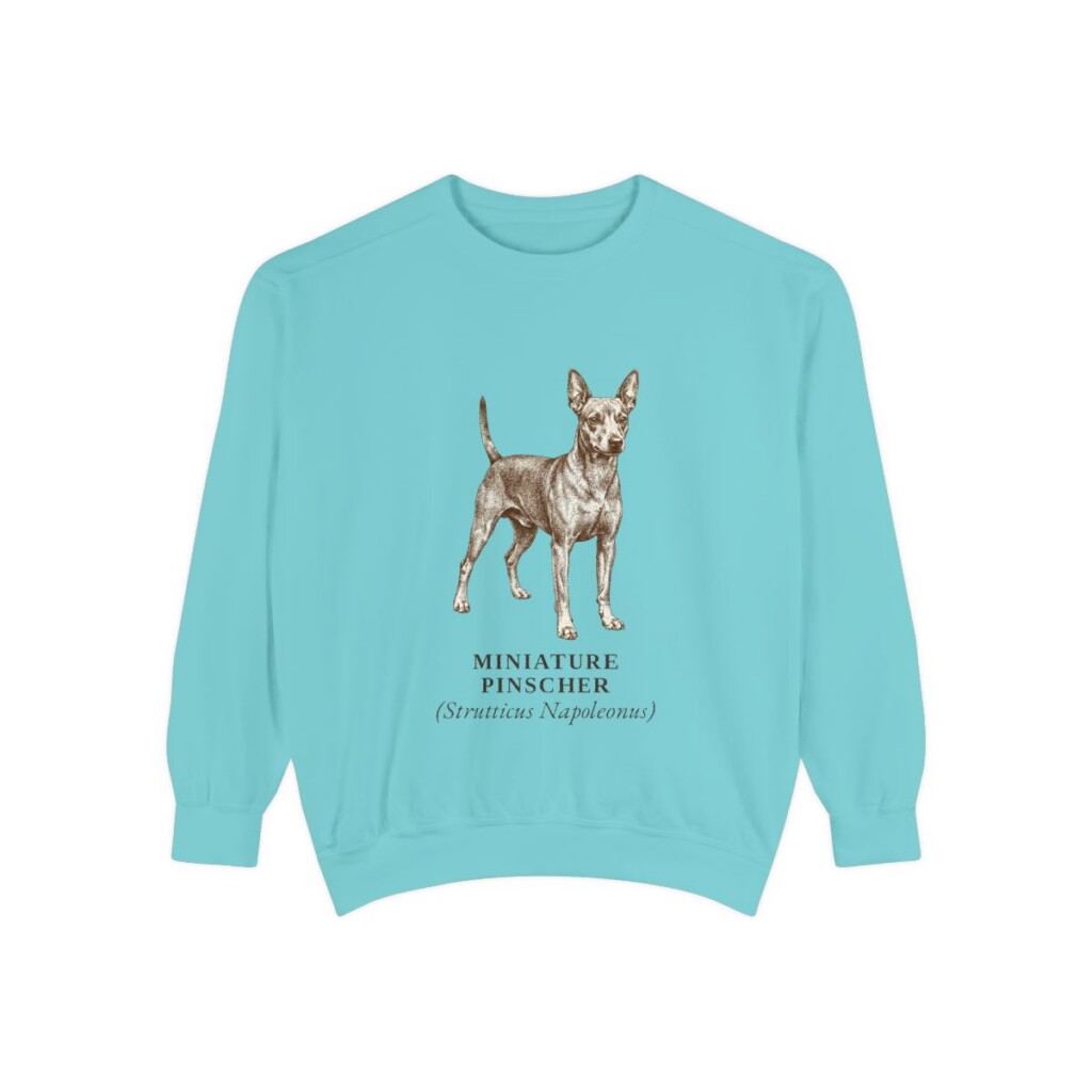 Miniature Pinscher Latin Sweatshirt, Chalky Mint, front view