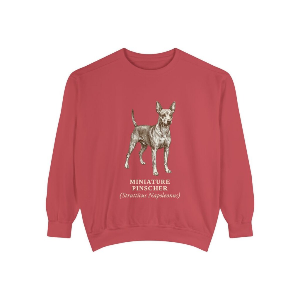 Miniature Pinscher Latin Sweatshirt, Crimson, front view