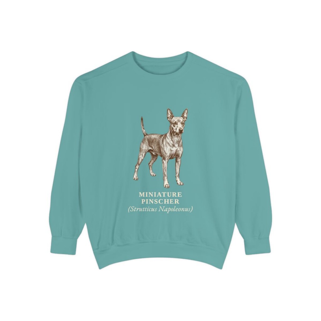 Miniature Pinscher Latin Sweatshirt, Seafoam, front view