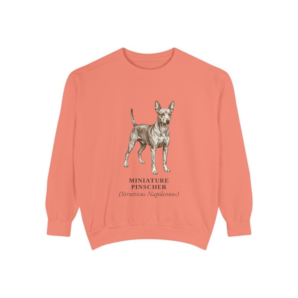 Miniature Pinscher Latin Sweatshirt, Terracotta, front view
