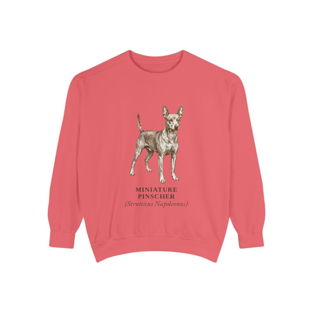 Miniature Pinscher Latin Sweatshirt, Watermelon, front view