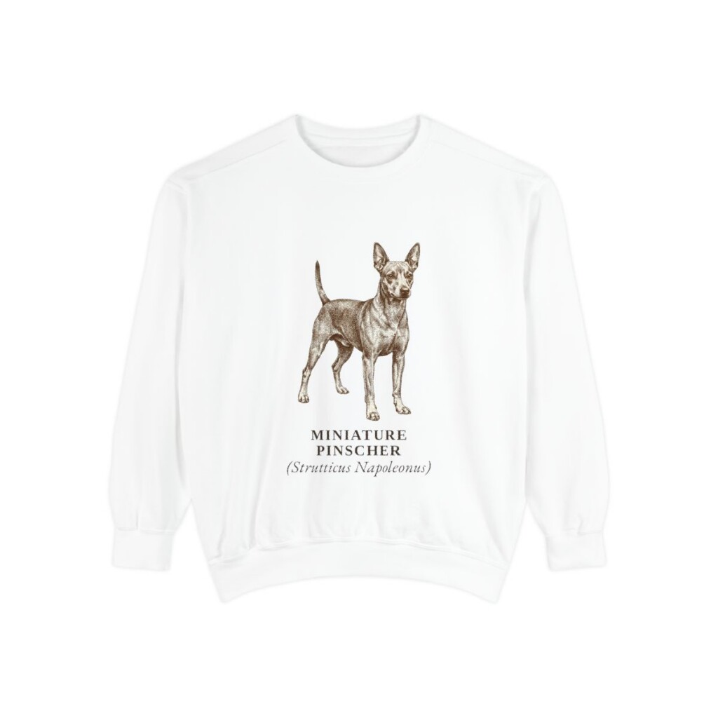 Miniature Pinscher Latin Sweatshirt, White, front view