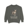 Miniature Pinscher Sweatshirt, Pepper, front view