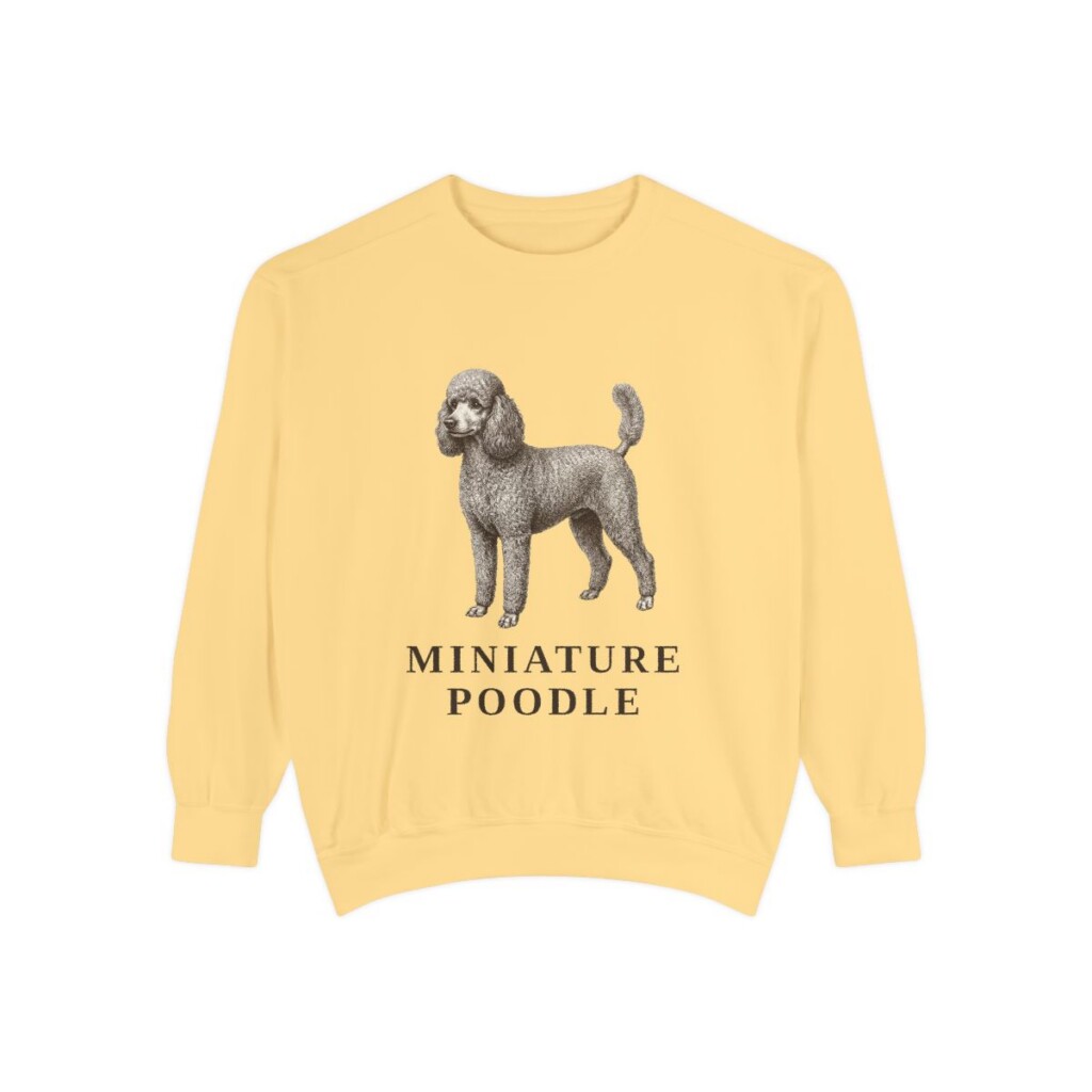 Miniature Poodle Sweatshirt, Butter, front view