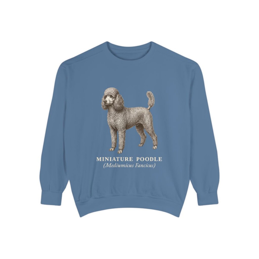 Miniature Poodle Latin Sweatshirt, Blue Jean, front view