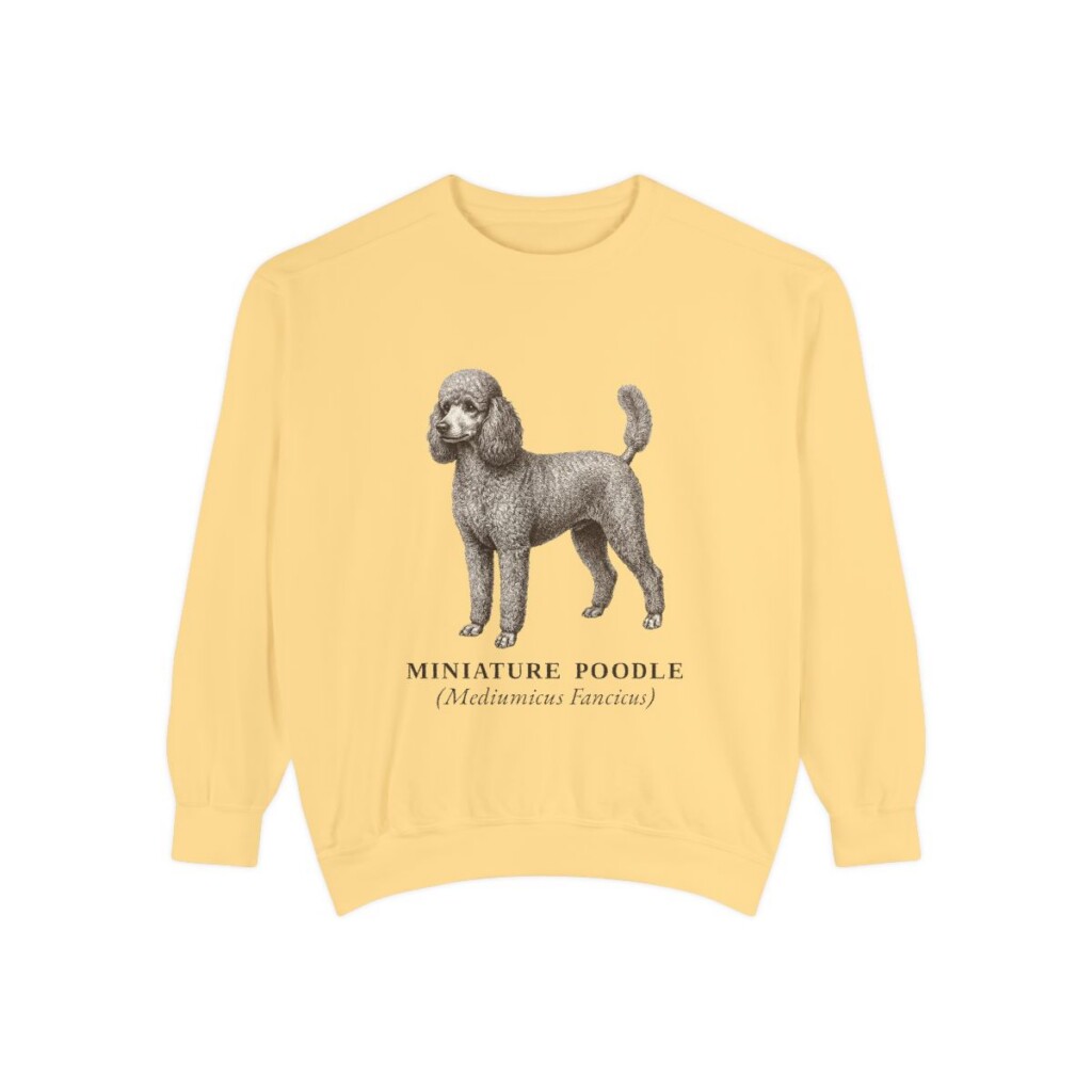 Miniature Poodle Latin Sweatshirt, Butter, front view