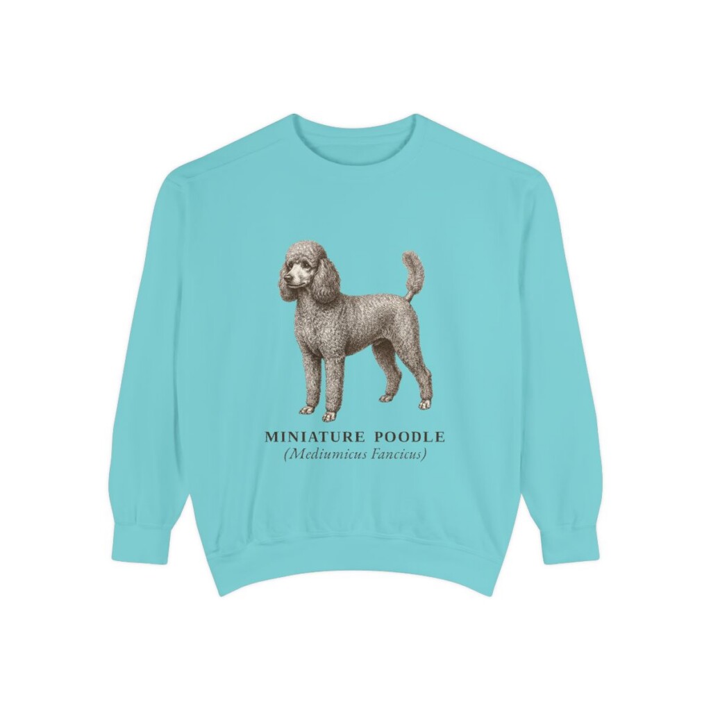 Miniature Poodle Latin Sweatshirt, Chalky Mint, front view