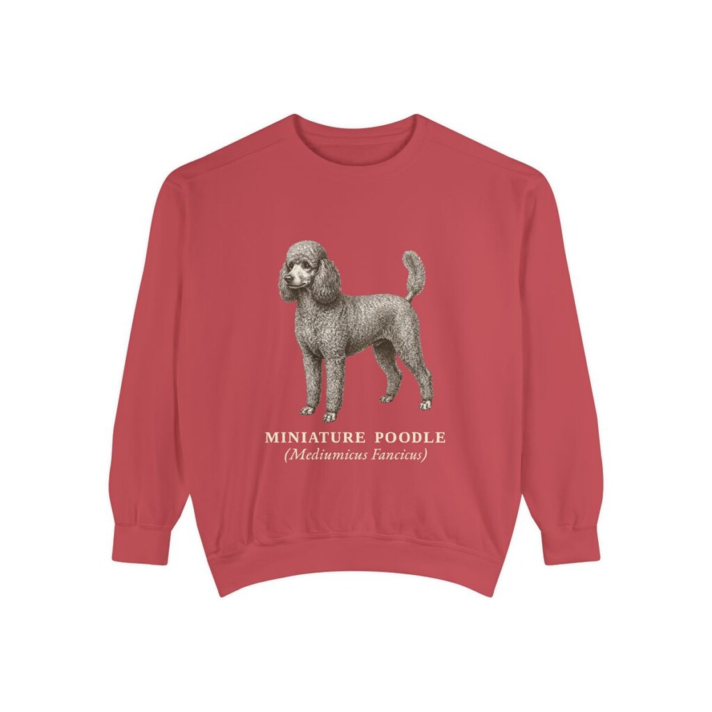 Miniature Poodle Latin Sweatshirt, Crimson, front view