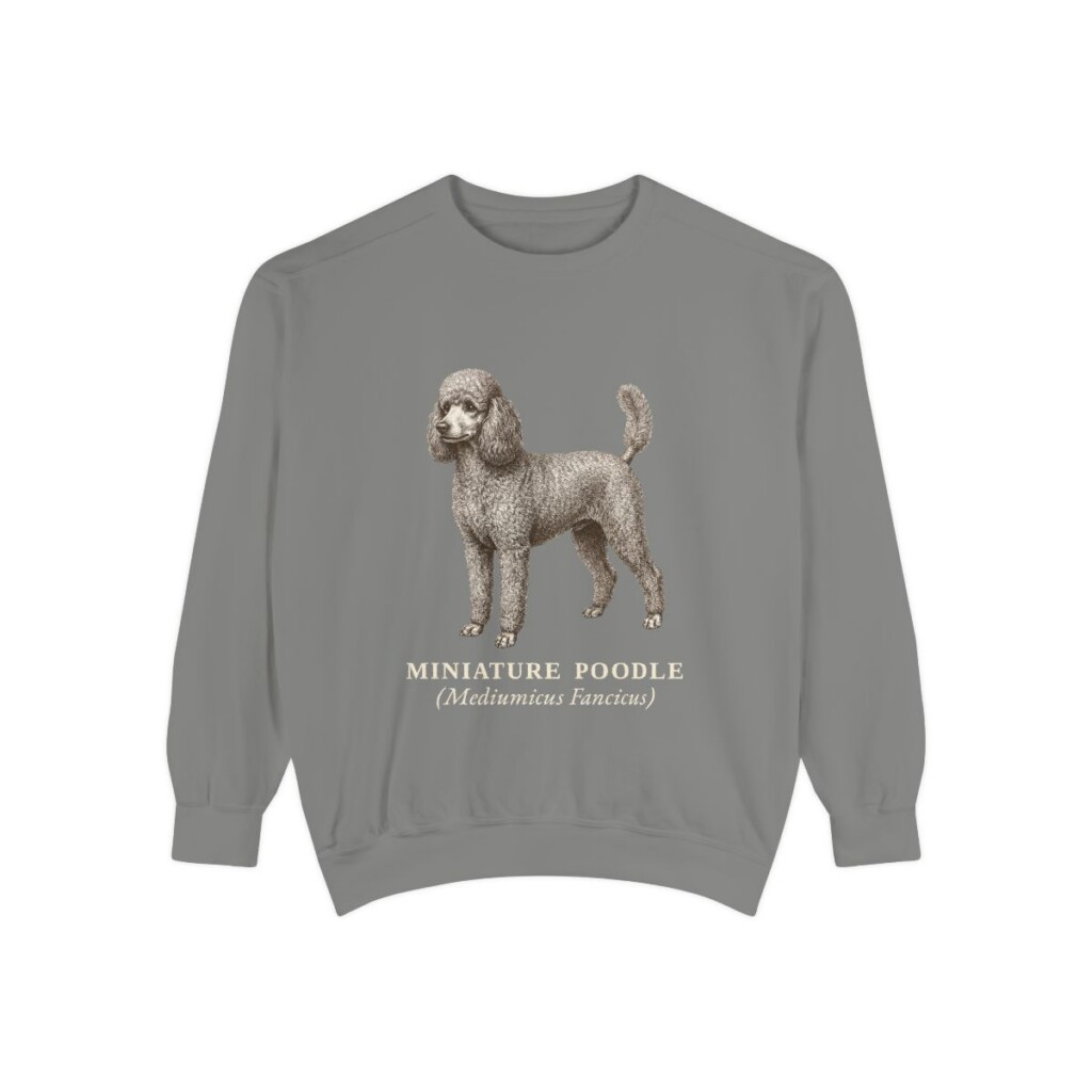 Miniature Poodle Latin Sweatshirt, Grey, front view