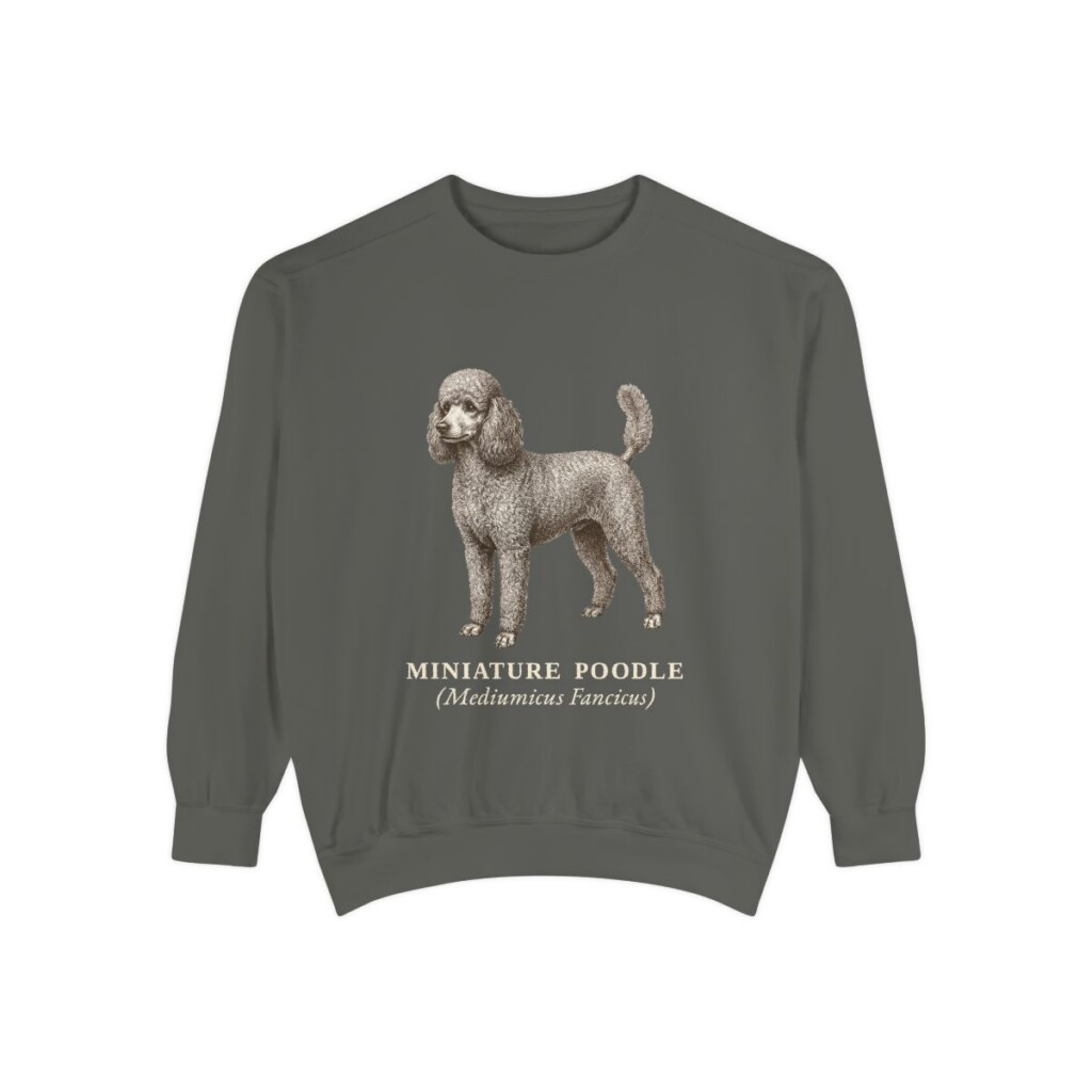 Miniature Poodle Latin Sweatshirt, Pepper, front view