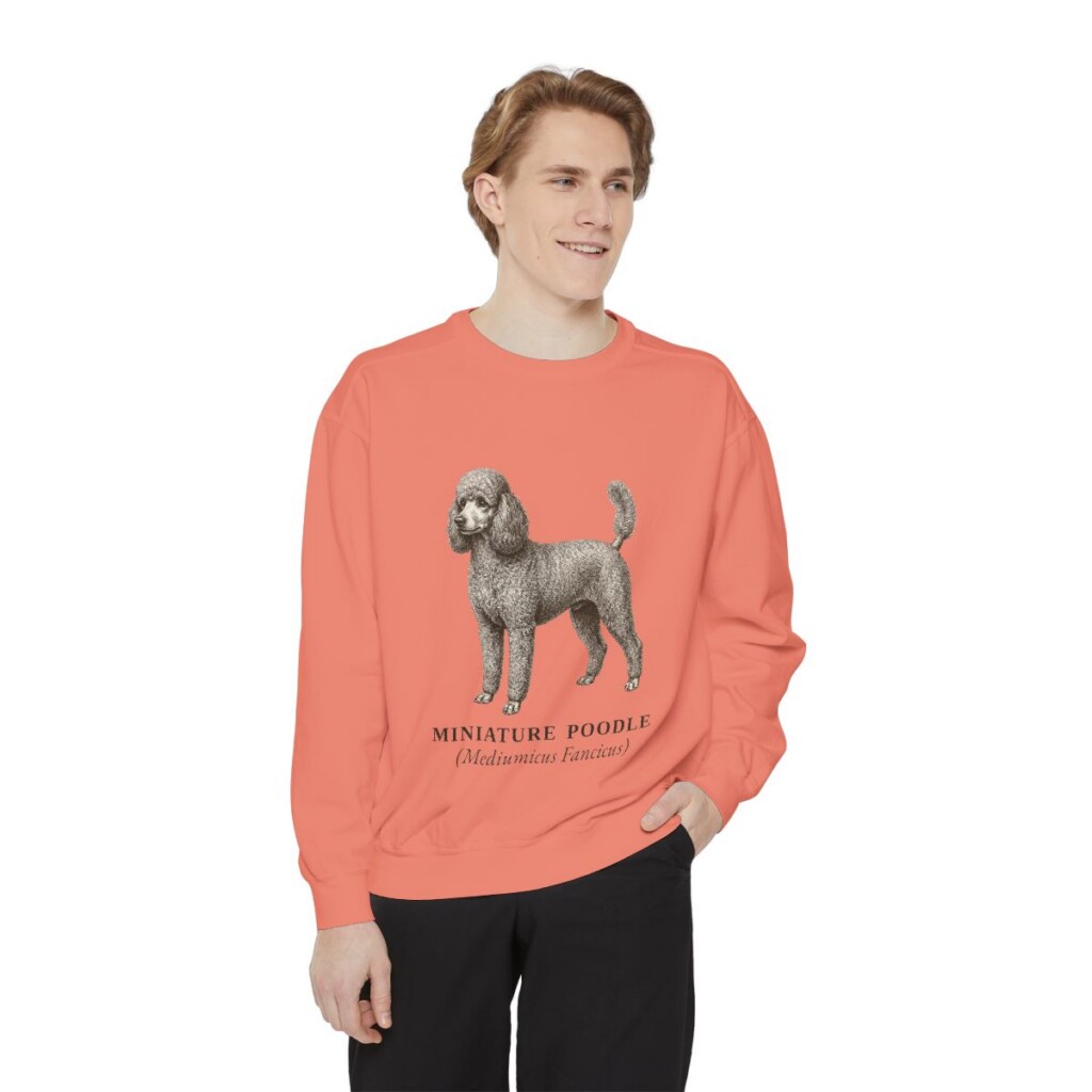 Miniature Poodle Latin Sweatshirt, Terracotta, person 1 front