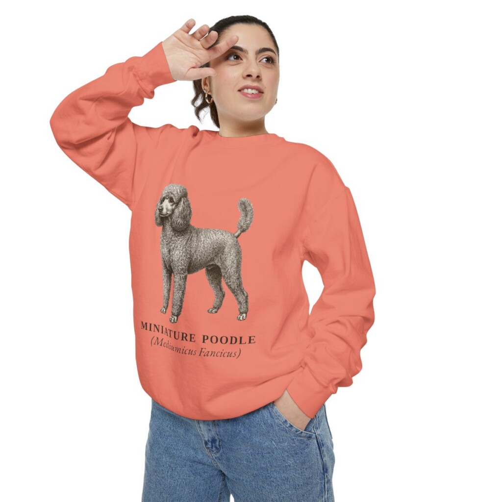 Miniature Poodle Latin Sweatshirt, Terracotta, person 2 context