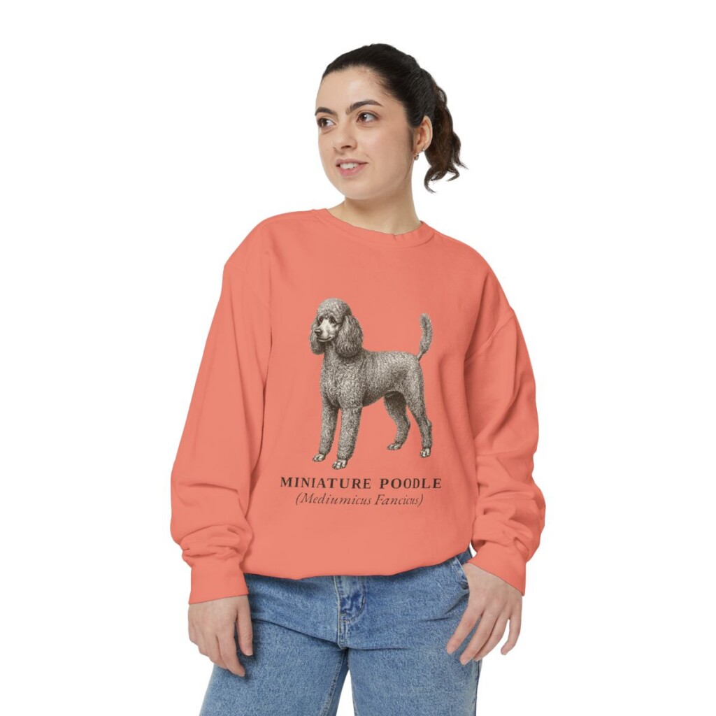 Miniature Poodle Latin Sweatshirt, Terracotta, person 2 front