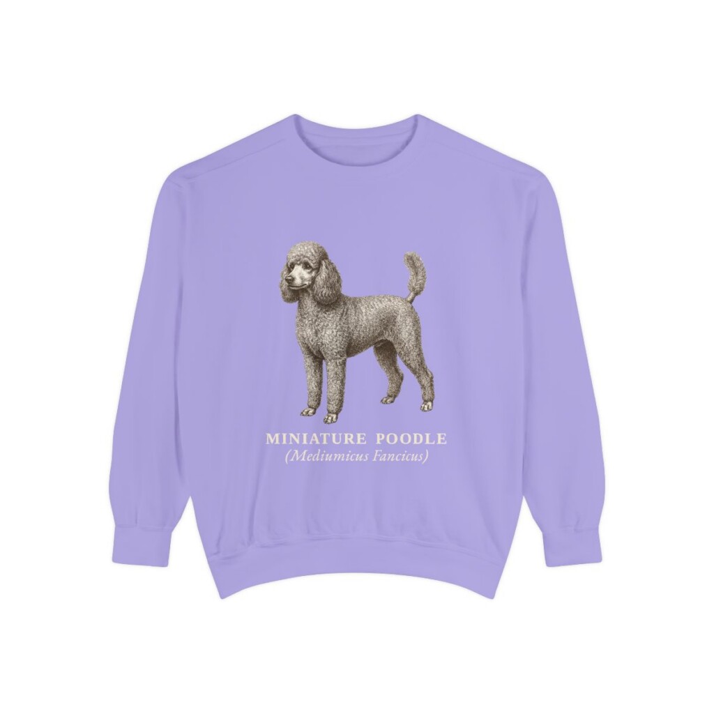 Miniature Poodle Latin Sweatshirt, Violet, front view