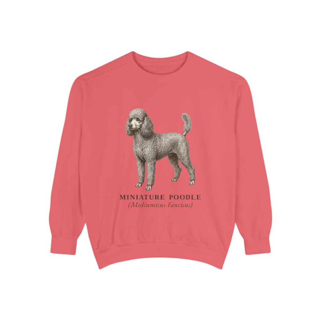 Miniature Poodle Latin Sweatshirt, Watermelon, front view