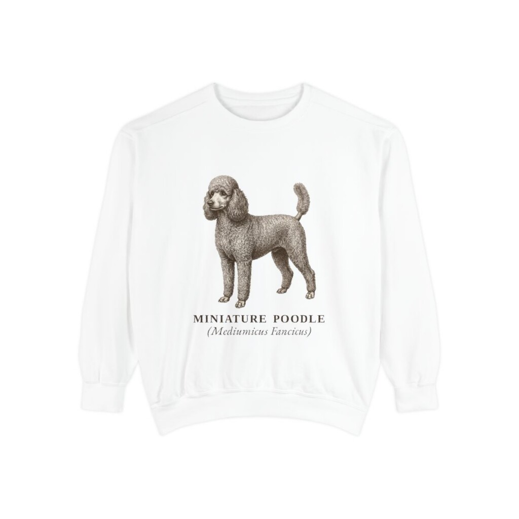 Miniature Poodle Latin Sweatshirt, White, front view