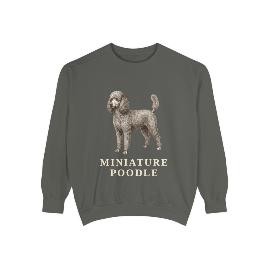Miniature Poodle Sweatshirt, Pepper, front view