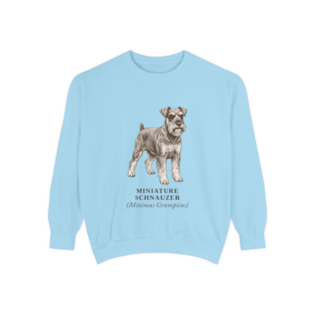 Miniature Schnauzer Latin Sweatshirt, Chambray, front view