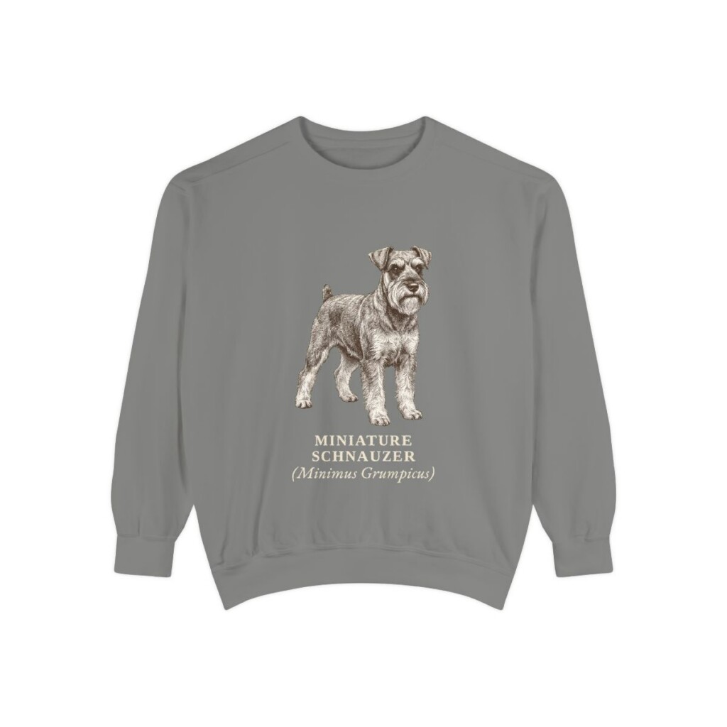 Miniature Schnauzer Latin Sweatshirt, Grey, front view