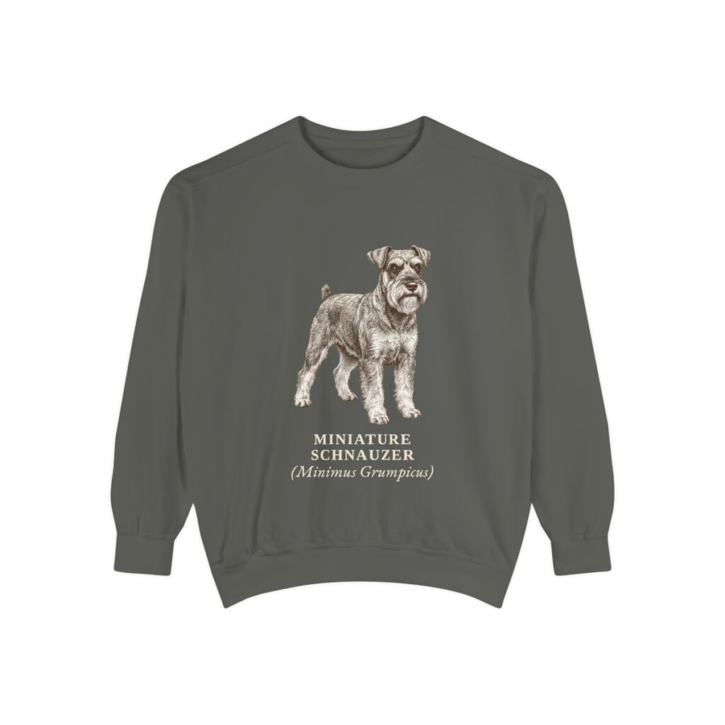 Miniature Schnauzer Latin Sweatshirt, Pepper, front view