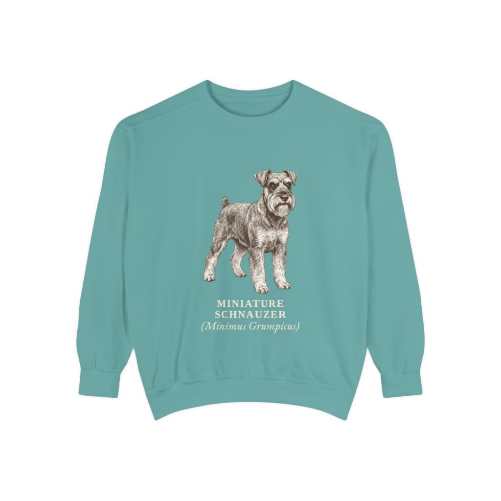 Miniature Schnauzer Latin Sweatshirt, Seafoam, front view