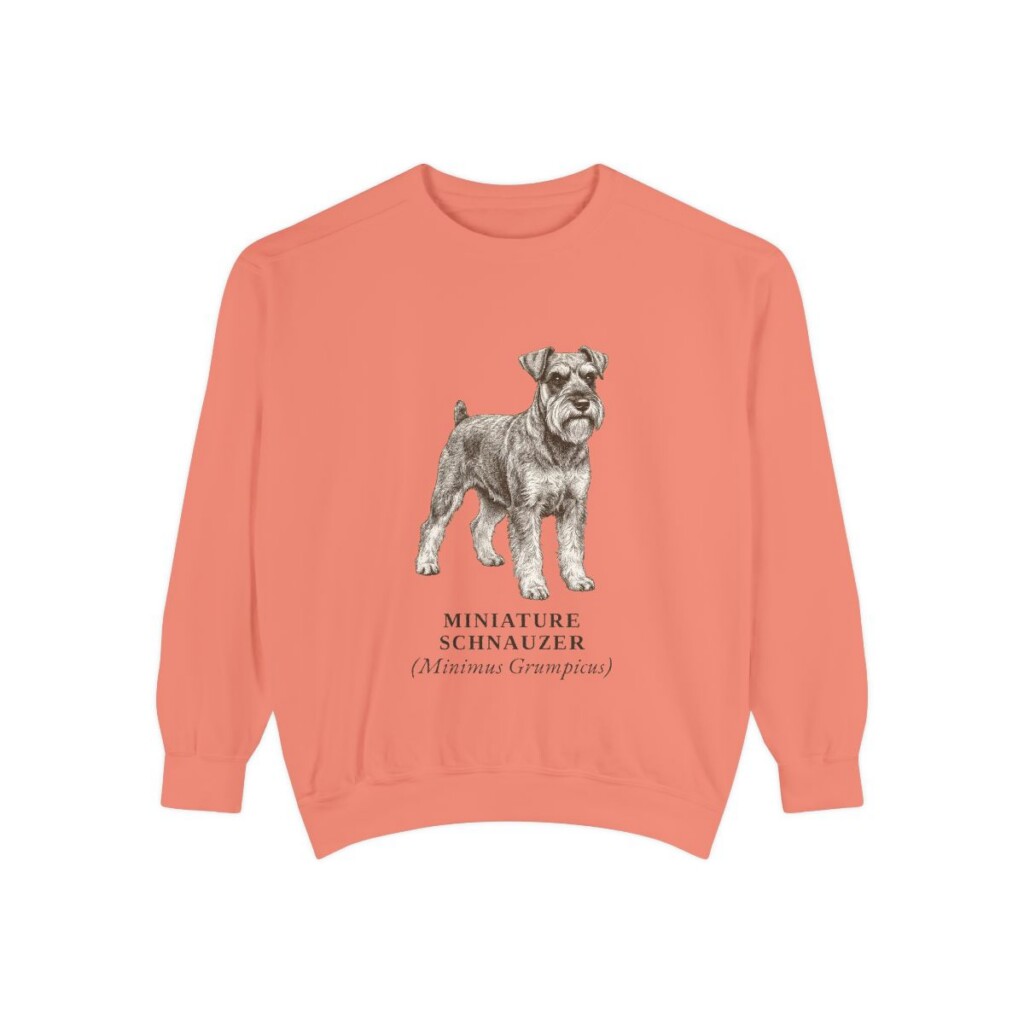 Miniature Schnauzer Latin Sweatshirt, Terracotta, front view