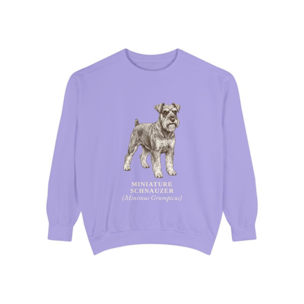 Miniature Schnauzer Latin Sweatshirt, Violet, front view