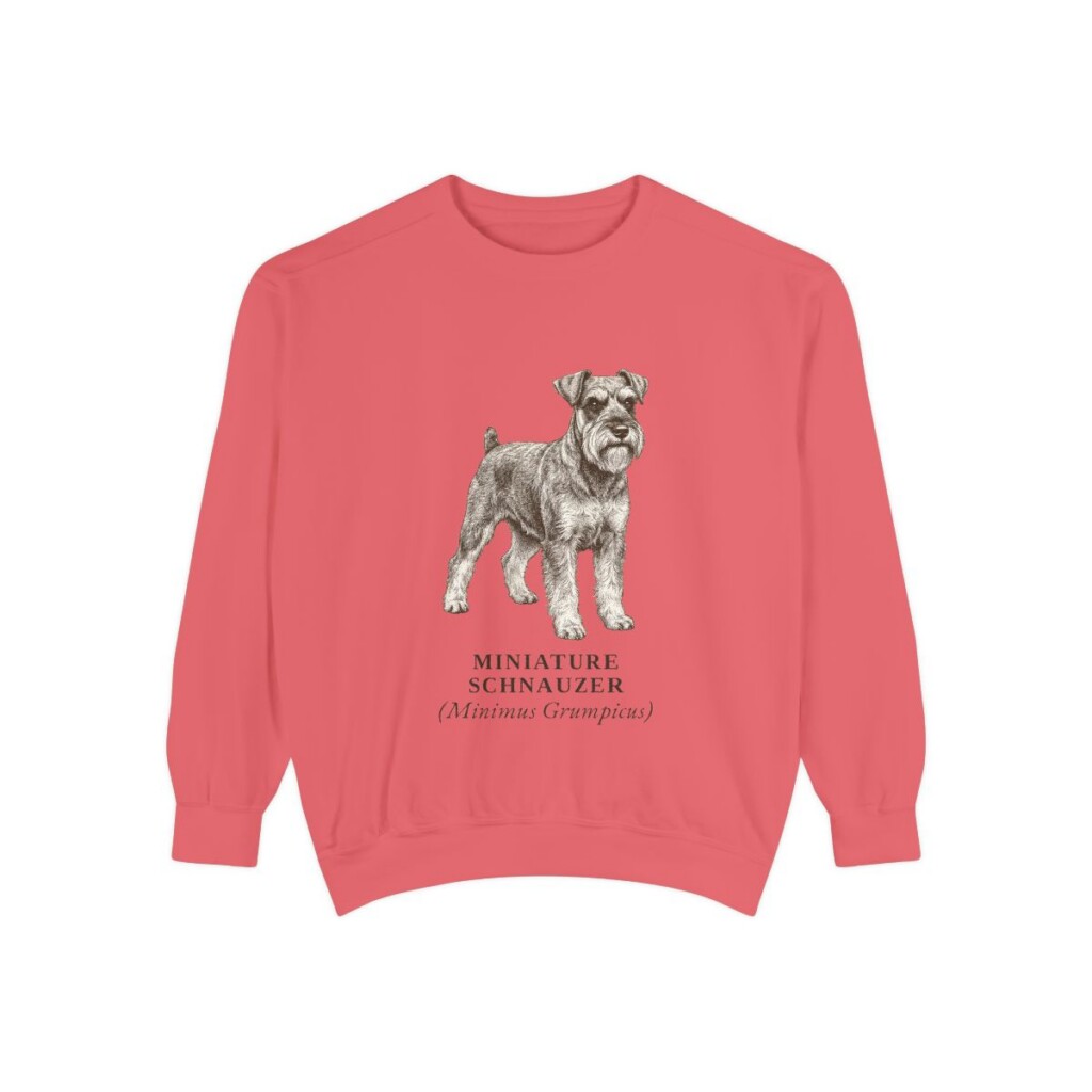 Miniature Schnauzer Latin Sweatshirt, Watermelon, front view