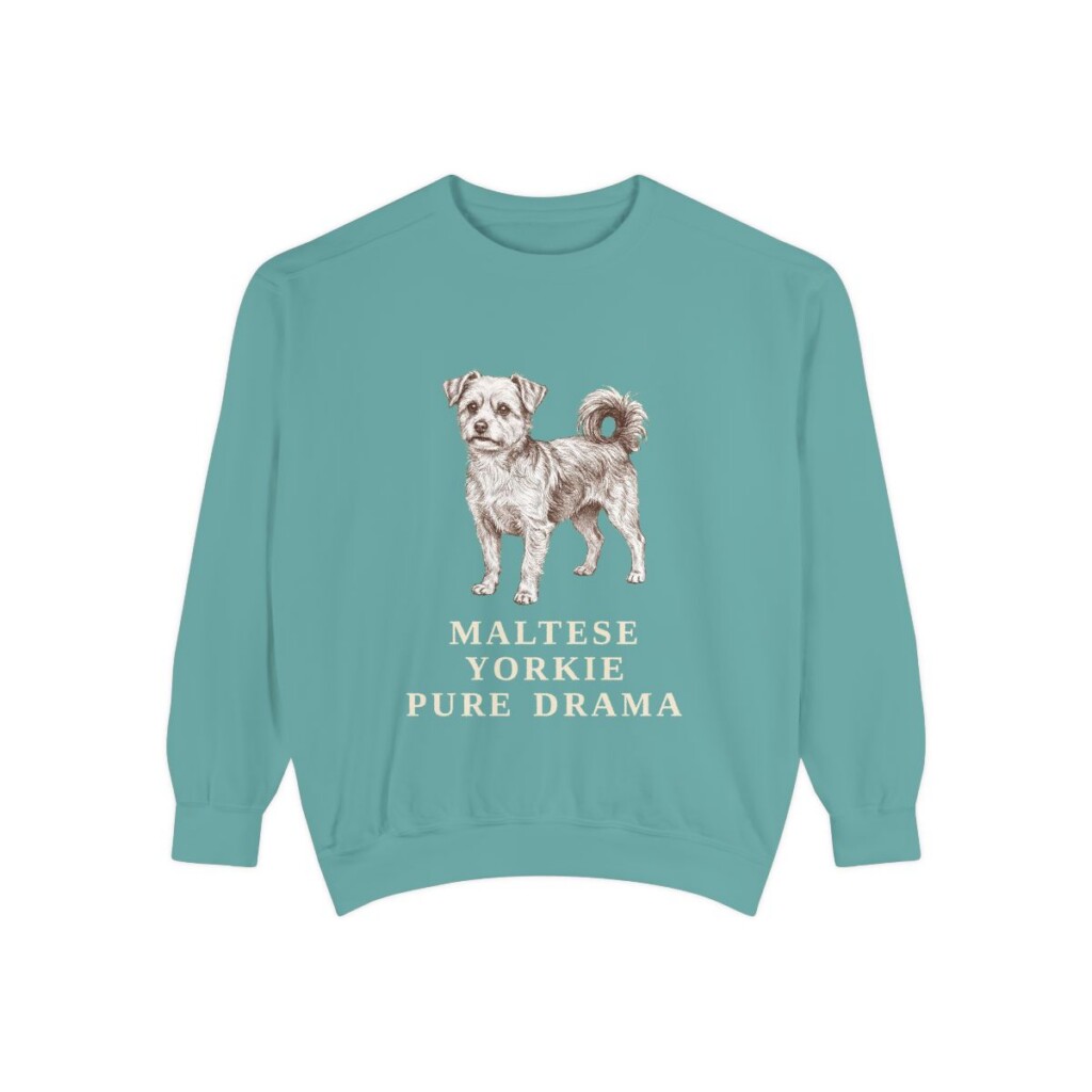 Morkie Humor Sweatshirt, Seafoam, front view