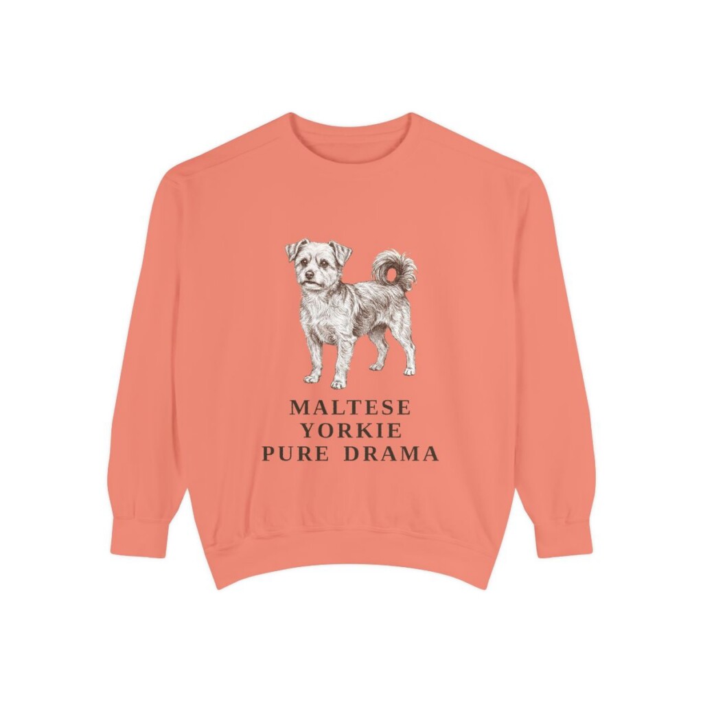 Morkie Humor Sweatshirt, Terracotta, front view