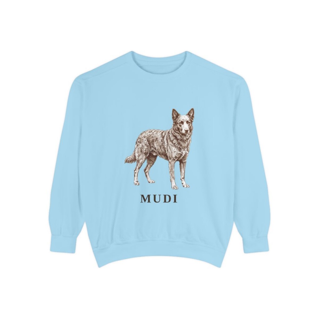 Mudi Sweatshirt, Chambray, front view