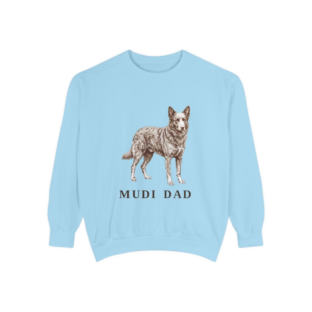 Mudi Dad Sweatshirt, Chambray, front view