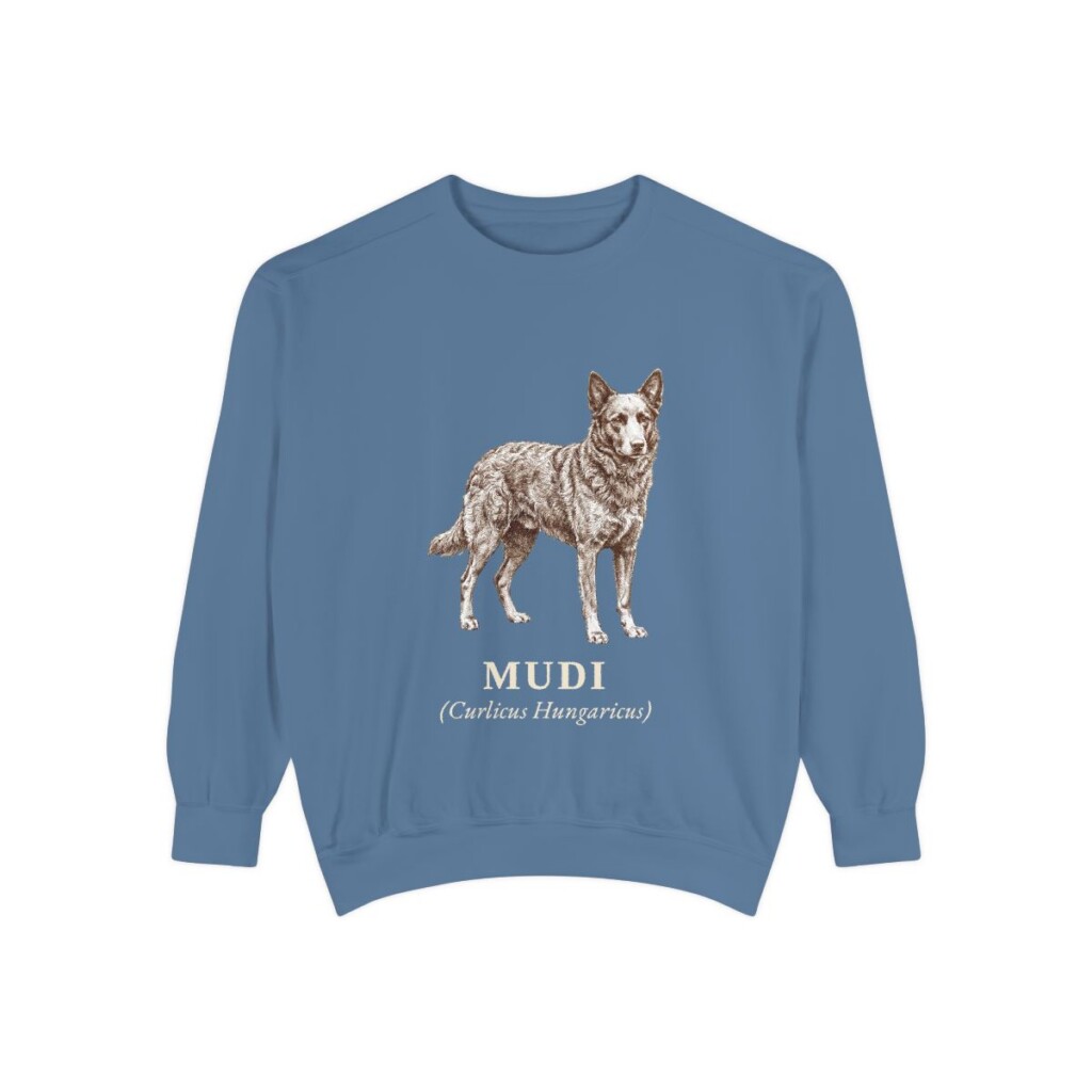 Mudi Latin Sweatshirt, Blue Jean, front view