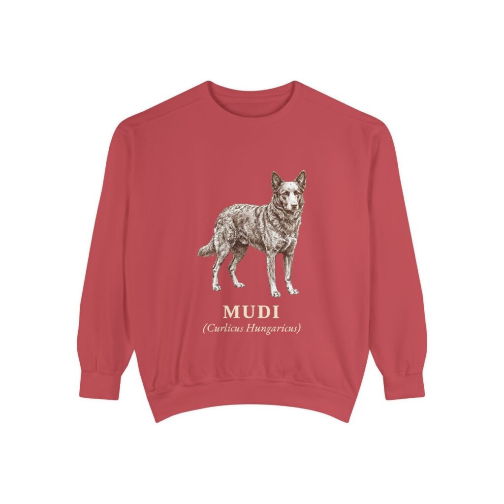 Mudi Latin Sweatshirt, Crimson, front view