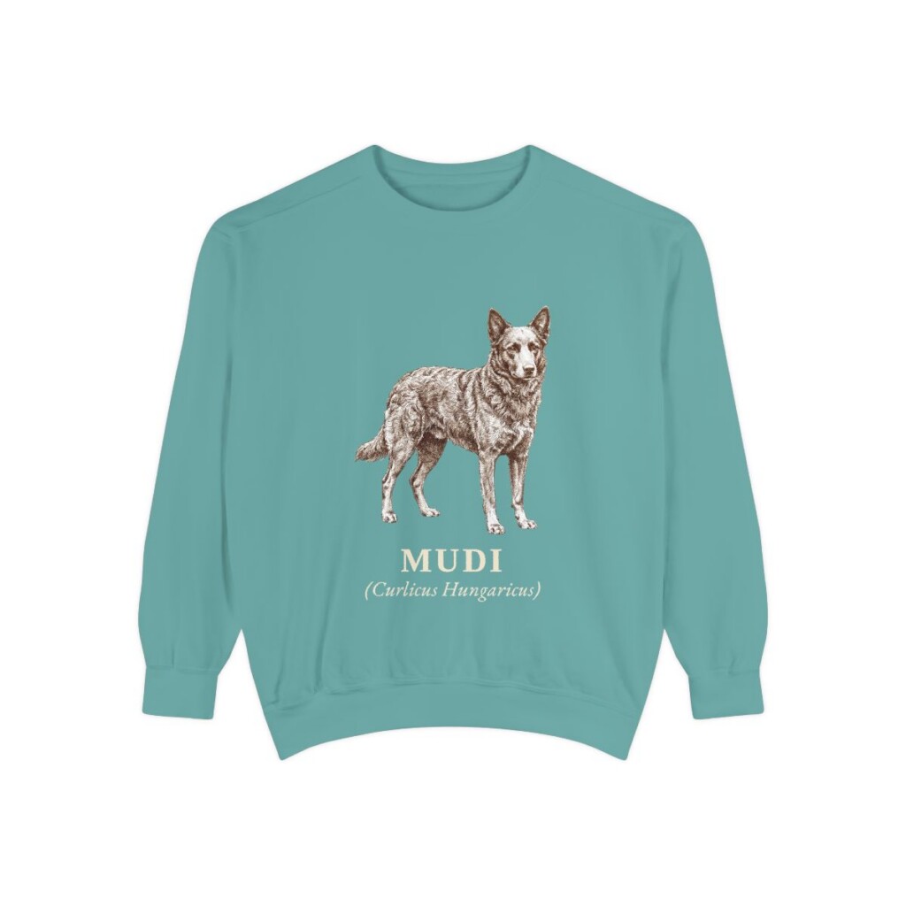 Mudi Latin Sweatshirt, Seafoam, front view